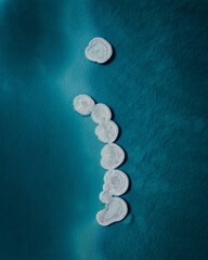 Canvas Print - Aerial shot of salt formations at the dead sea