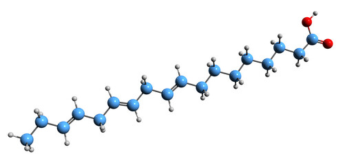 Poster -  3D image of alpha-Linolenic acid skeletal formula - molecular chemical structure of Octadecatrienoic acid isolated on white background
