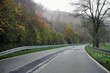 Nasse kurvige Straße  zwischen Ackerfeld und Wald vor weißem diesigen Himmel bei Regen und Nebel am Morgen im Herbst