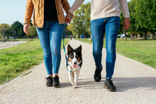 Anonymous Couple Walking With Dog