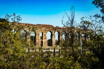 Wall Mural - Ancient roman aqueduct ouside Rome, surrounded by trees