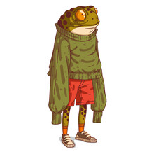 A Frog Person, Isolated Vector Illustration. Cartoon Picture Of A Toad In An Oversized Long-sleeved Sweatshirt. Drawn Animal Sticker. An Anthropomorphic Frog On White Background. An Animal Character.