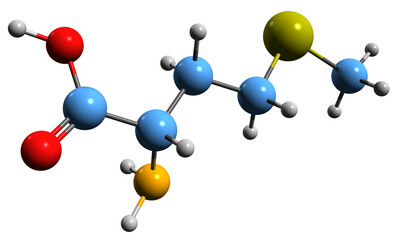 Poster - 3D image of Methionine skeletal formula - molecular chemical structure of  essential amino acid isolated on white background
