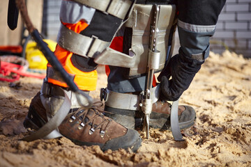 Wall Mural - Tree surgeon. Working with a chainsaw. Sawing wood with a chainsaw.	