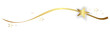 © eflstudioart - Gold Welle Wellen Band Banner Stern