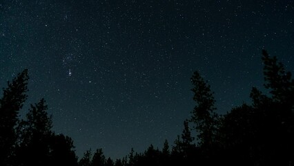 Wall Mural - orion constellation night sky skyscape timelapse