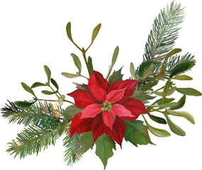 Poster - Floral Christmas composition with poinsettia flower