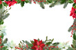 © milavas - Horizontal Christmas frame with poinsettia flowers