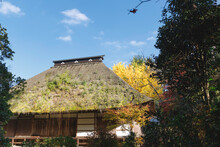 青空を背景に茅葺き屋根の広徳寺の本堂裏