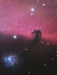 Wall Mural - The Horsehead Nebula in the constellation Orion