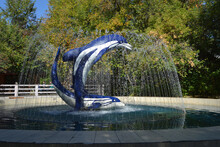 Fountain And Sculptural Composition Of Two Dolphins In The Novosibirsk Zoo