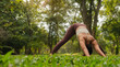 Sporty woman practicing yoga, standing in Downward facing dog exercise,workout in city park with beautiful nature view.