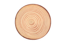 The Modern Wooden Scene For Show Products, Stump, Cross Section Of Tree Trunk Showing Growth Rings, For Display Products Perfume, Jewelry, And Cosmetic Products Isolated On Transparent Background