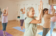 © David L/peopleimages.com - Pilates, wellness and group of senior women doing a mind, body and spiritual exercise in studio. Health, retirement and elderly friends doing yoga workout in zen class for peace, balance and fitness.