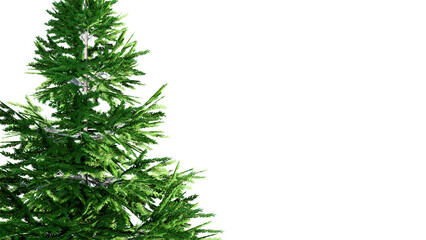 Wall Mural - Christmas Tree Branches Isolated on PNGs transparent background	