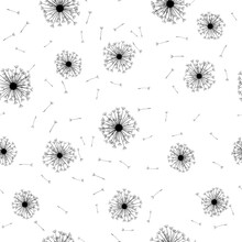 Floral Background Seamless Pattern Black And White With Dandelion Fluff And Seeds