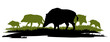 Wild boar herd looking for food in meadow. Animal in natural habitat. Wild pig illustration. Isolated on white background. Vector.