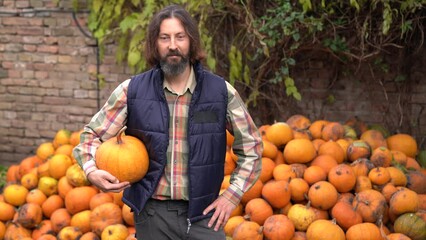 Poster - Bearded farmer with pumpkin on a background of a pile of pumpkins