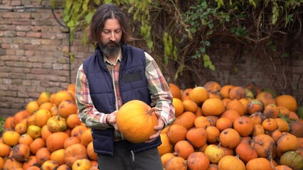 Poster - Bearded farmer with pumpkin on a background of a pile of pumpkins