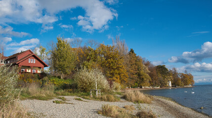 Wall Mural - Herbst am Ufer des Bodensees bei Konstanz