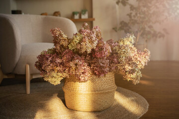 Dried hydrangea branches in a wicker basket on a wooden floor on a sunny day.