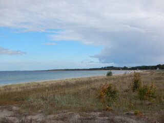 Wall Mural - beach in the country