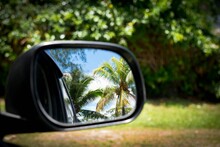 Selective Focus Shot Of Coconut Trees Reflecting On A Car's Side Mirror