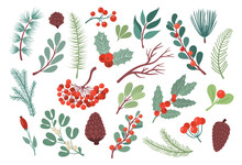 Christmas Winter Plants, Flower Leaves. Green Holiday Floral Branch, Snow Nature Leaf, Coniferous Forest Tree With Cones, Red Rowan Berries. Flat Decorative Elements. Vector Fabric Pattern