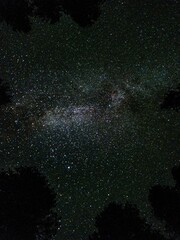 Poster - Vertical shot of a starry sky at night surrounded by trees