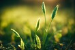 green grass field macro closeup. Generative AI Illustration