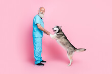 Full Length Profile Side Photo Of Veterinarian Finish Fluffy Siberian Husky Check Up Play Isolated On Pastel Color Background