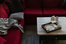 Messy Dark Living Room With Red Couch, Blanket, Gray Pillow And Sheet, White Table, White Tea Pot, Dirty Food Plate And Napkins
