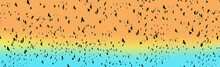 Banner With Multicolored Sky And Black Birds. Background. Templates