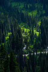 View of Paradise Valley Road from hiking trail above at Mt. Rainier National Park, WA
