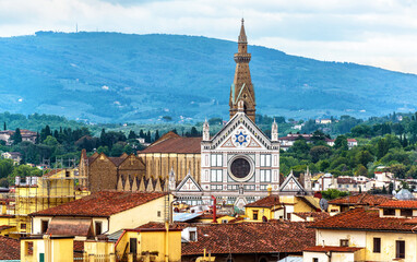 Wall Mural - Landscape of Florence, Italy. Scenic view of Basilica di Santa Croce on mountain background