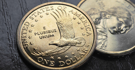 Wall Mural - american coins close-up lie on dark surface of table. soaring eagle sacagawea dollar coin. us econom