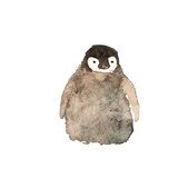 Fototapeta  - Watercolor penguin chick transparent png. Cute penguin for happy winter greeting card 