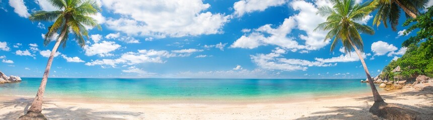 Wall Mural - panorama of tropical beach with coconut palm trees