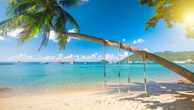 Fototapete - Beautiful tropical island beach with coconut palm trees and two swings, koh Tao, Thailand