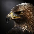 Schöner Adler isoliert auf schwarzem Hintergrund