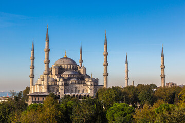 Fototapete - Blue mosque in Istanbul