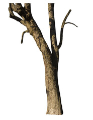 Aufkleber - Isolated PNG cutout of a tree trunk on a transparent background