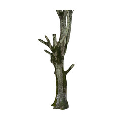 Aufkleber - Isolated PNG cutout of a tree trunk on a transparent background