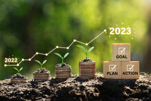 Seedlings Are Growing On The Coins Stack Compared To The Year 2022-2023 And Cubes With Text Plan, Goal, And Action. Concept Of Business Growth, Profit, And Development To Succeed In The Year 2023.