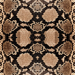 Wall Mural - Seamless snake texture, snake skin, python pattern.