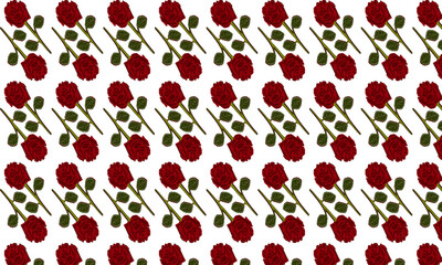 Wall Mural - rose flower pattern colored hand drawn