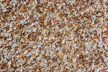 Used crashed chicken eggshell used as a fertiliser for plants, flowers and tomatoes. Change from littering Into storage and processing, home made organic fertilizer. Nature background texture