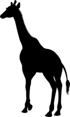 Poster - Giraffe Safari Animal Silhouette