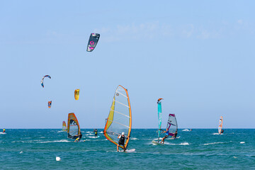 Wall Mural - Vieste, Italy. In the sea of Vieste, near the Scialmarino beach, some people practice windsurfing and others practice kitesurfing. September 7, 2022