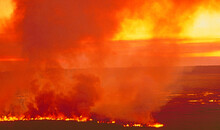 Australia: A Big Bush Fire Due To The Dryness Due Tot He Global Climate Change